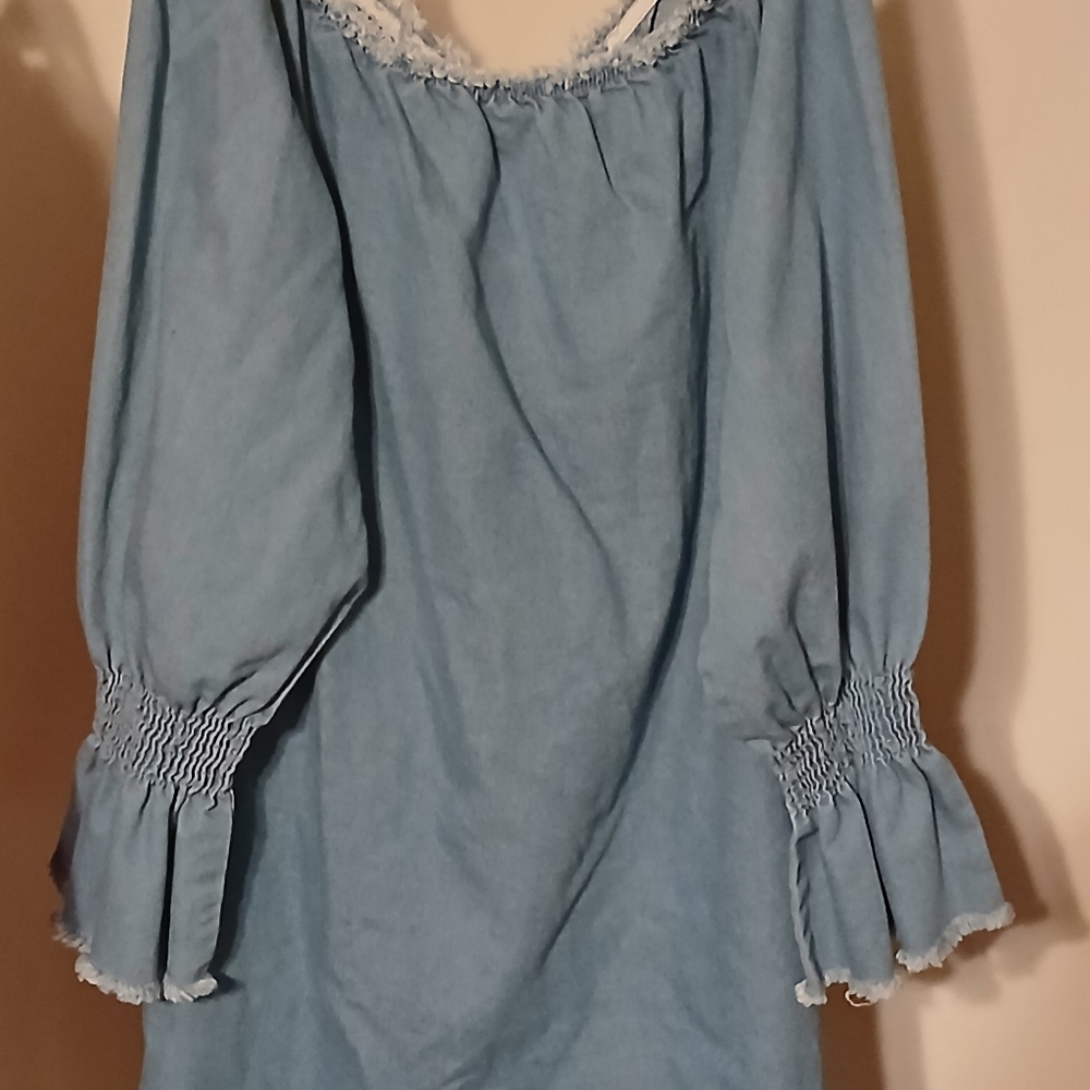Blue Smocked Sleeve Top
